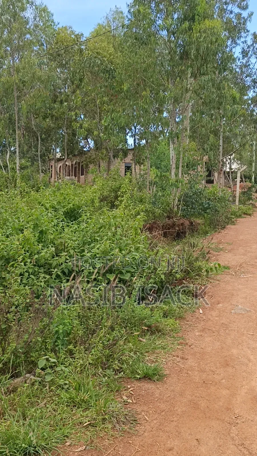 Plot for Sale