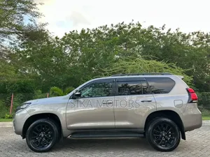 Toyota Land Cruiser Prado 2.7 2023 Gray