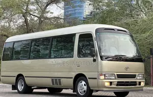 Toyota Coaster 2005 Beige