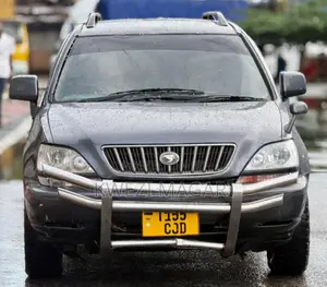 Toyota Harrier 1998 Gray