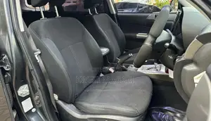 Subaru Forester 2009 Gray