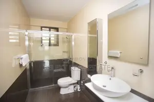 Furnished 3bdrm Apartment in Masaki for rent