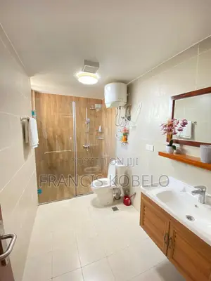 Furnished 2bdrm Apartment in Mikocheni for sale