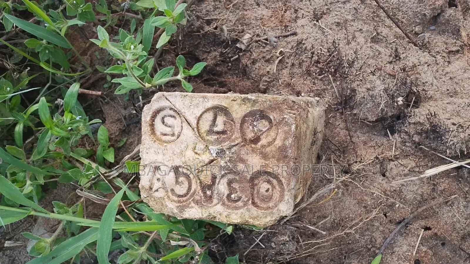 Plot for Sale at Madale Mbopo Shule