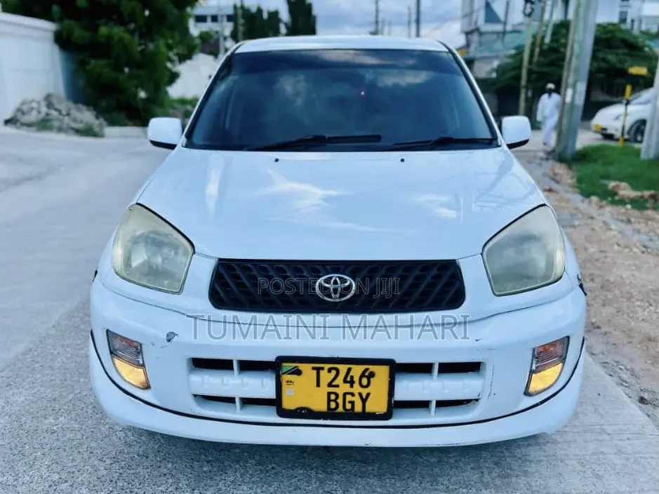 Toyota RAV4 2004 White