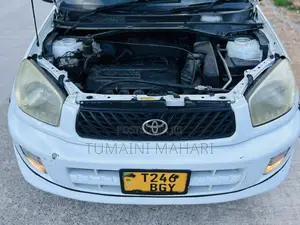Toyota RAV4 2004 White