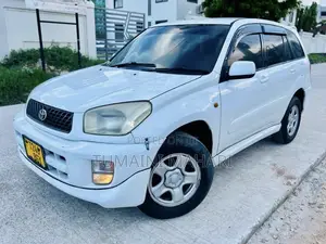 Toyota RAV4 2004 White