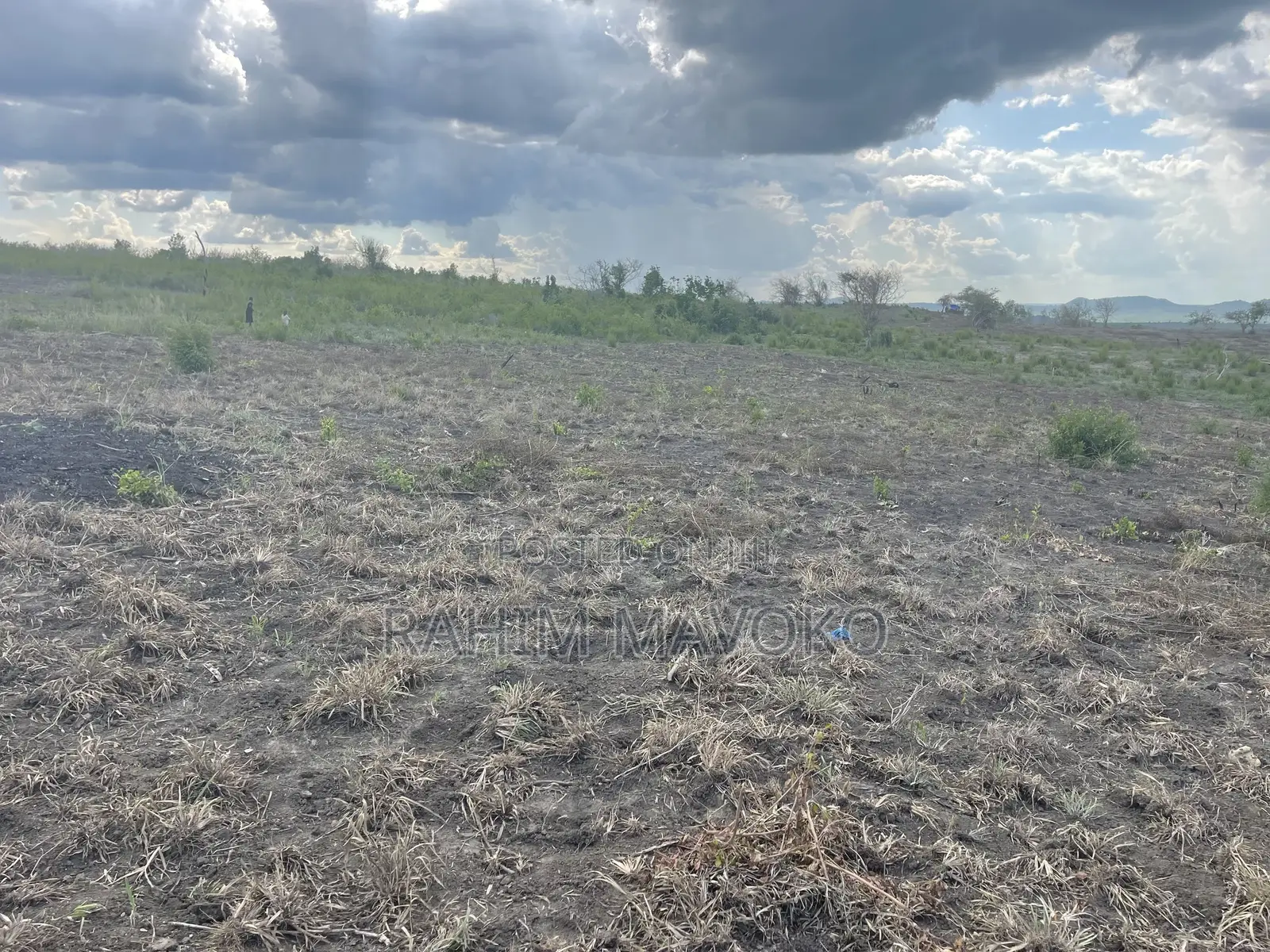 Shamba Linauzwa Kiwangwa Hekari 50