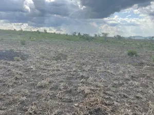Shamba Linauzwa Kiwangwa Hekari 50