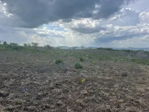 Shamba Linauzwa Kiwangwa Hekari 50