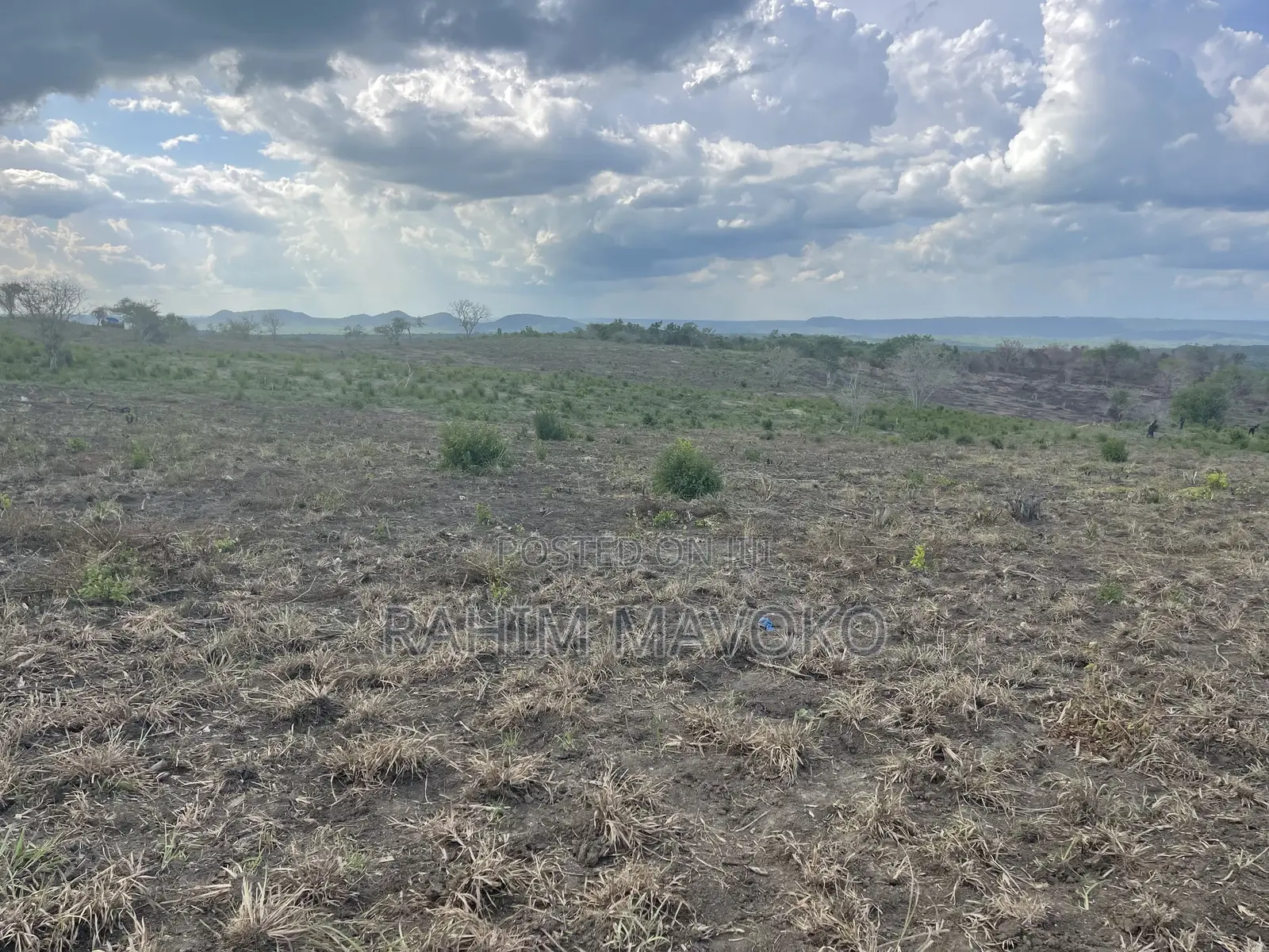 Shamba Linauzwa Kiwangwa Hekari 50