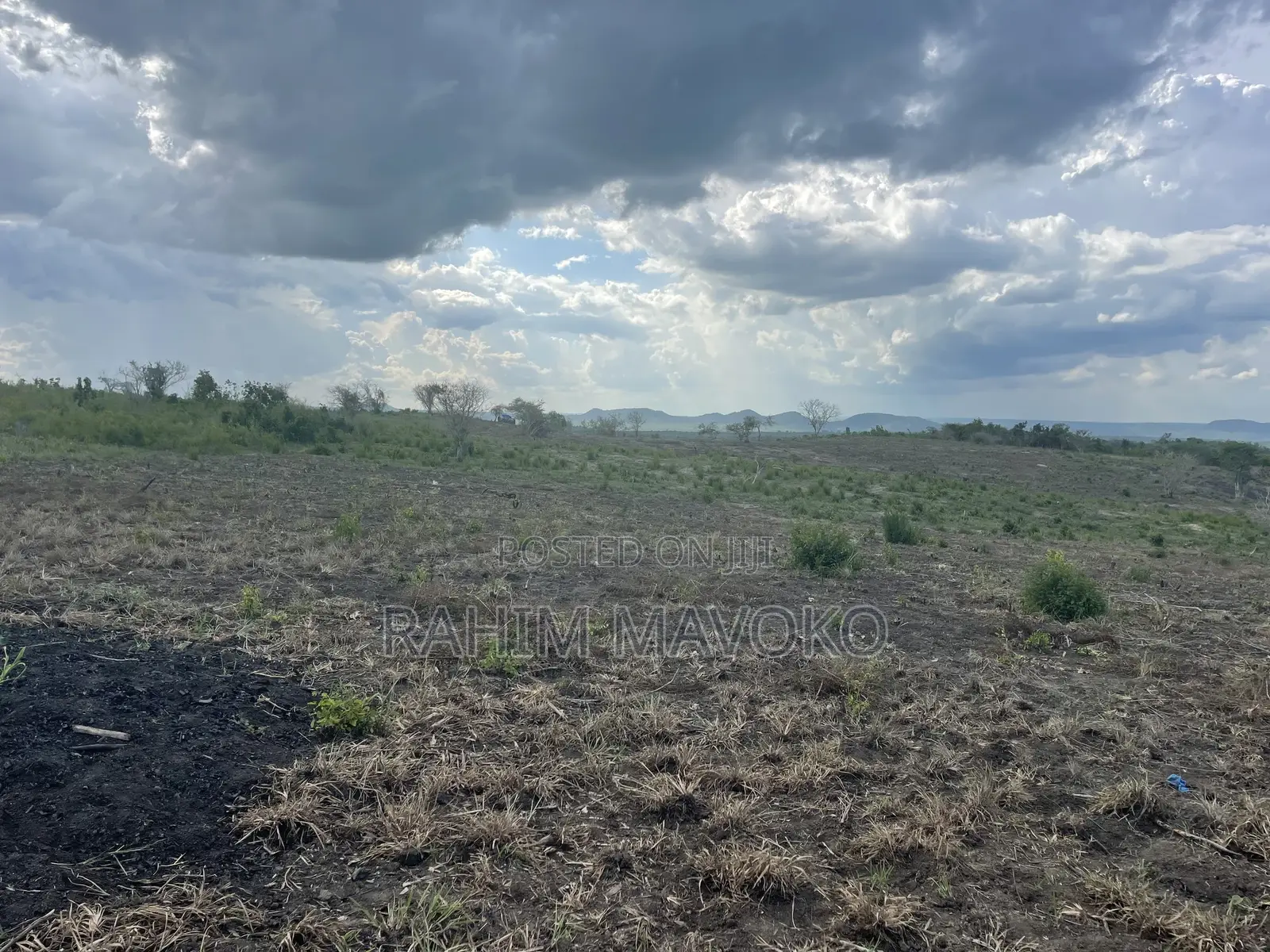 Shamba Linauzwa Kiwangwa Hekari 50