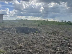 Shamba Linauzwa Kiwangwa Hekari 50