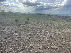 Shamba Linauzwa Kiwangwa Hekari 50