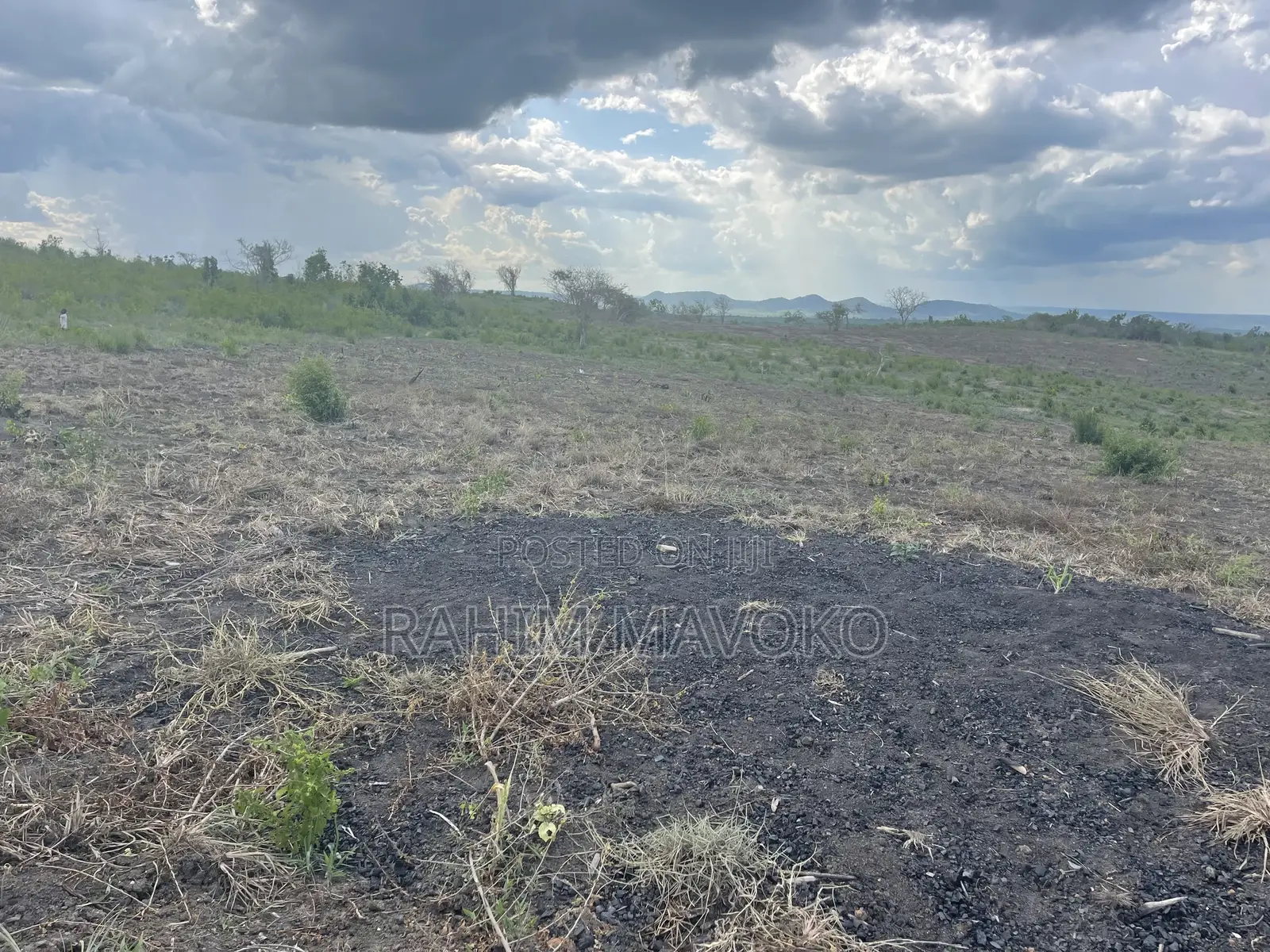 Shamba Linauzwa Kiwangwa Hekari 50