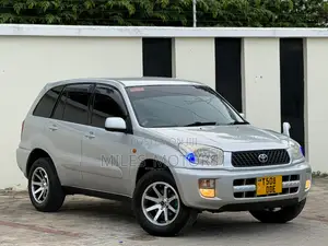 Toyota RAV4 2005 Silver