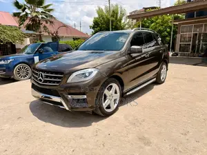Mercedes-Benz M Class 2014 Brown