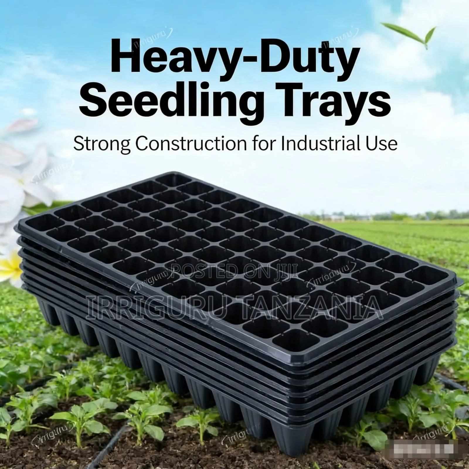 Heavy Duty Seedling Trays