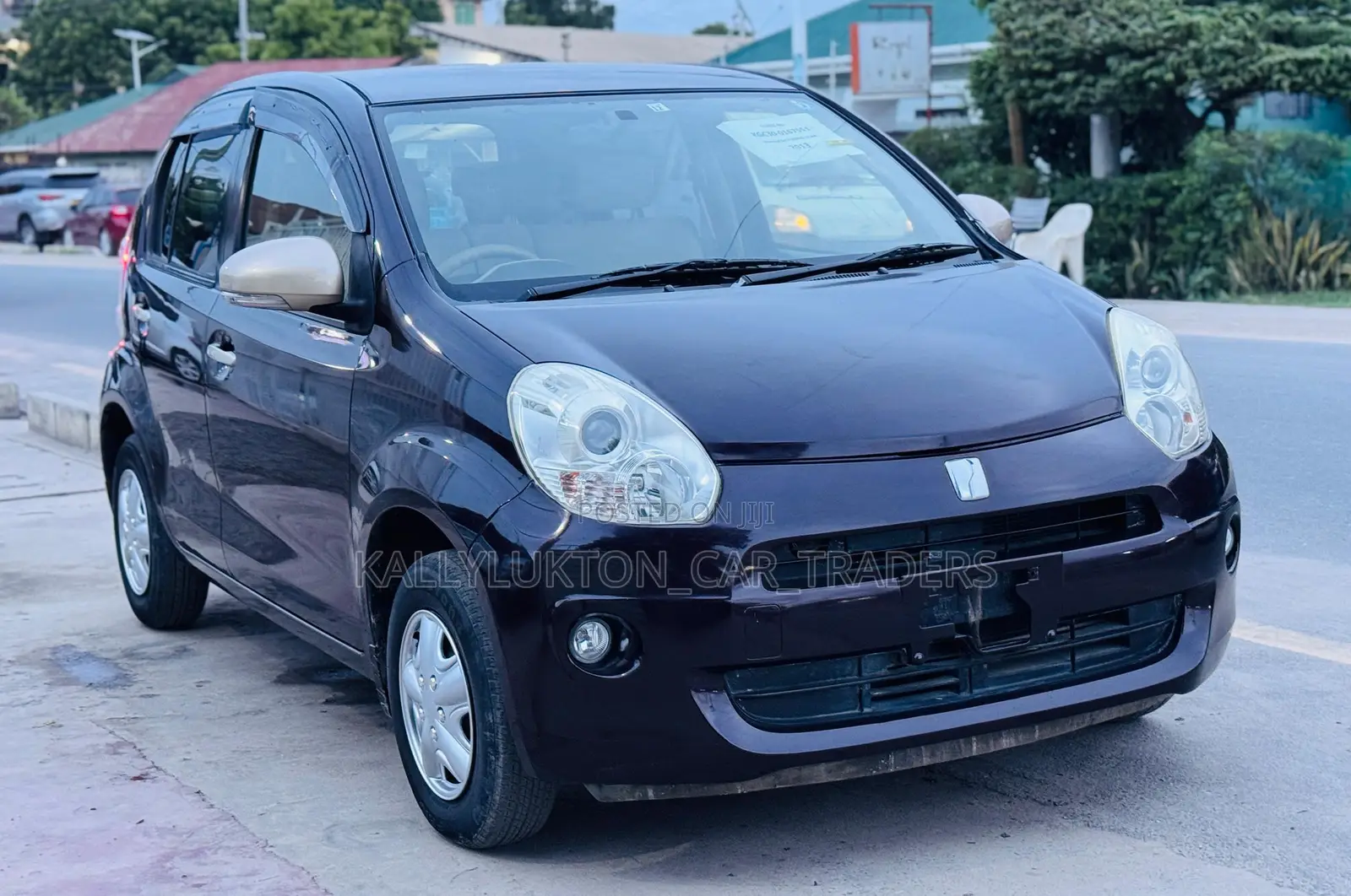 Toyota Passo 2008 Purple