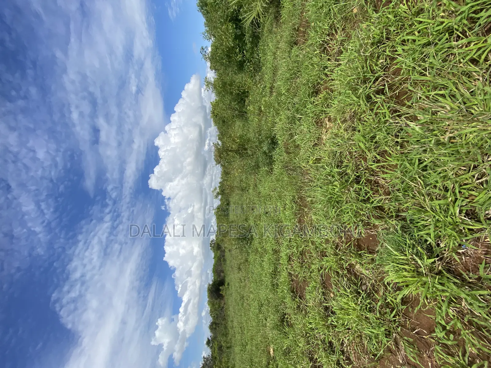 Beach Plot Number Three for Sale Mbutu Kigamboni