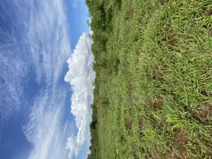 Beach Plot Number Three for Sale Mbutu Kigamboni