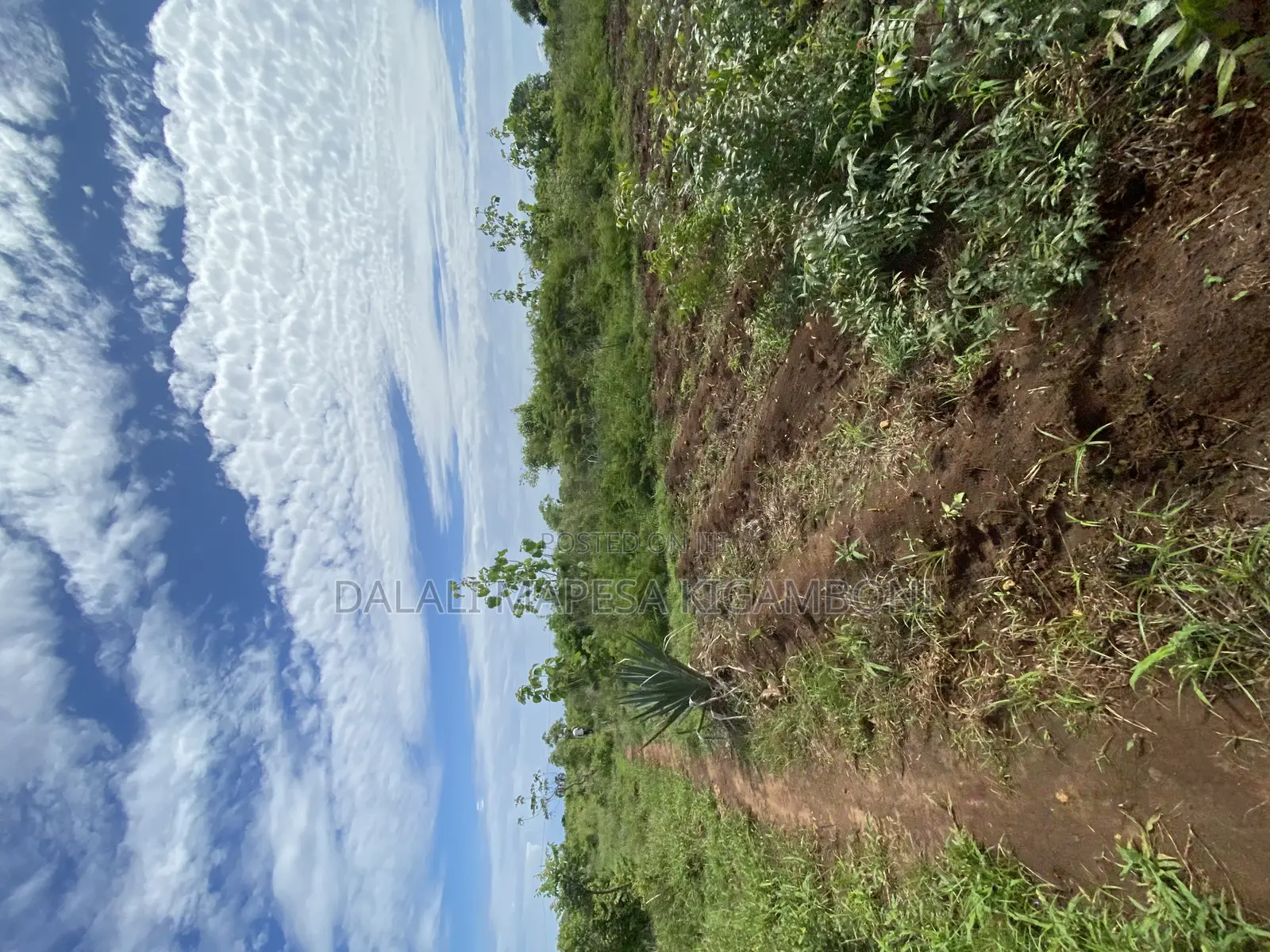 Beach Plot Number Three for Sale Mbutu Kigamboni