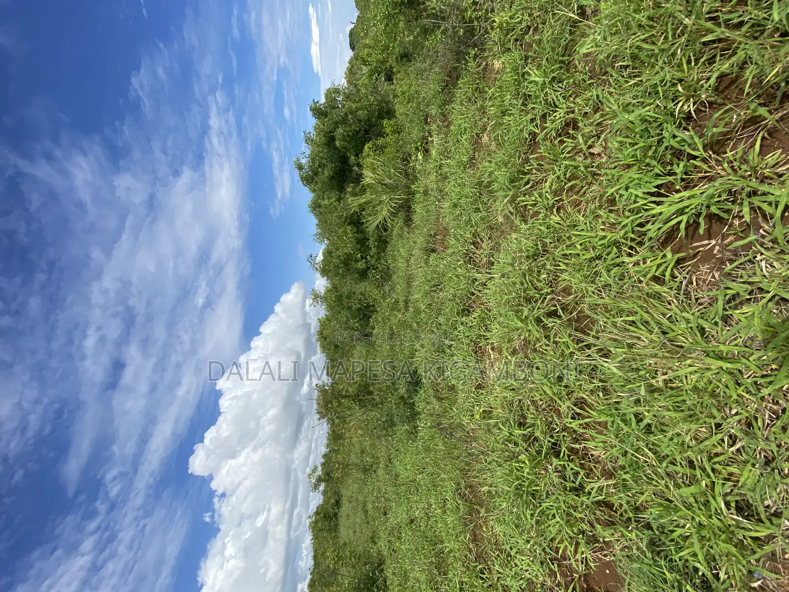 Beach Plot Number Three for Sale Mbutu Kigamboni