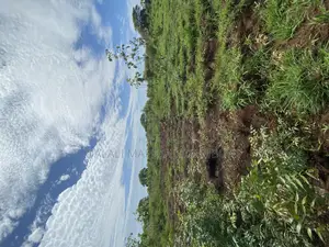 Beach Plot Number Three for Sale Mbutu Kigamboni