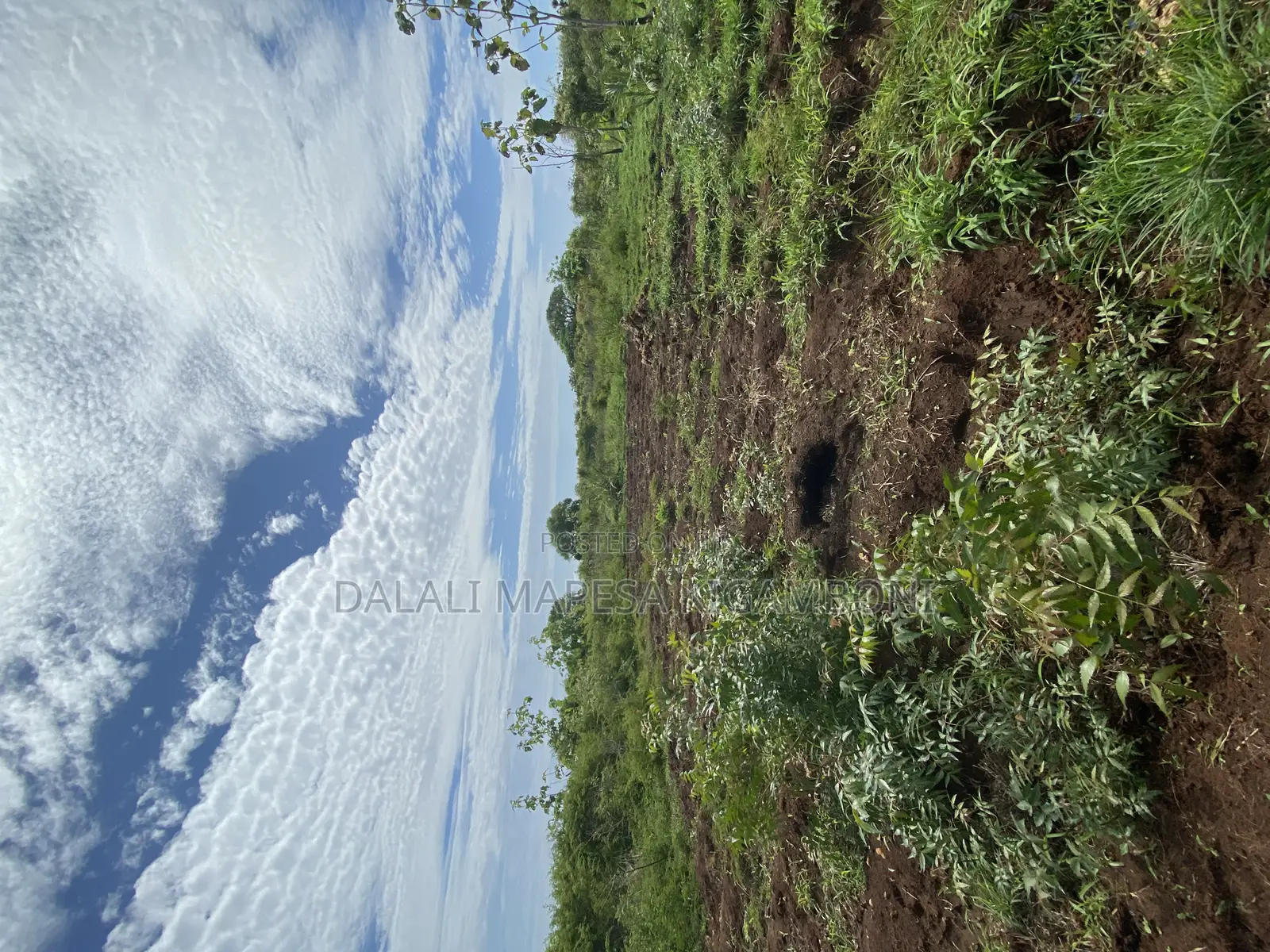 Beach Plot Number Three for Sale Mbutu Kigamboni
