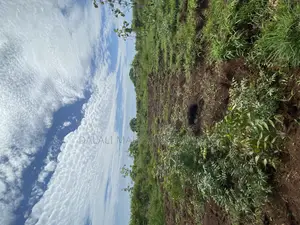 Beach Plot Number Three for Sale Mbutu Kigamboni