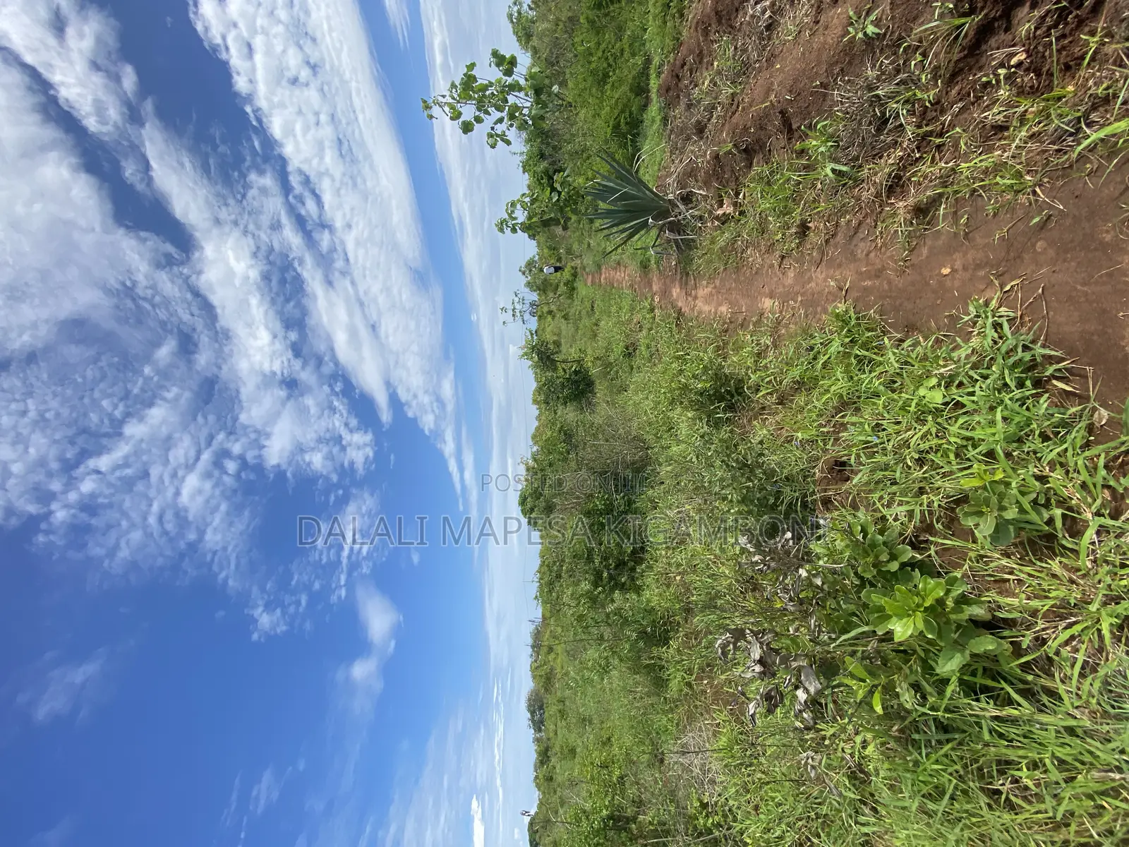 Beach Plot Number Three for Sale Mbutu Kigamboni