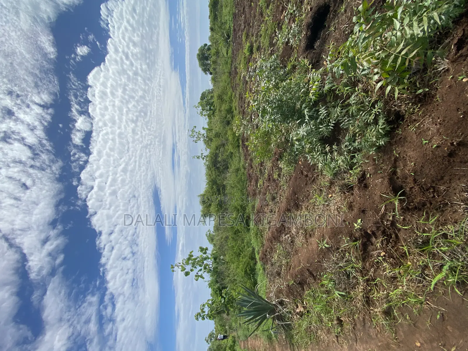 Beach Plot Number Three for Sale Mbutu Kigamboni