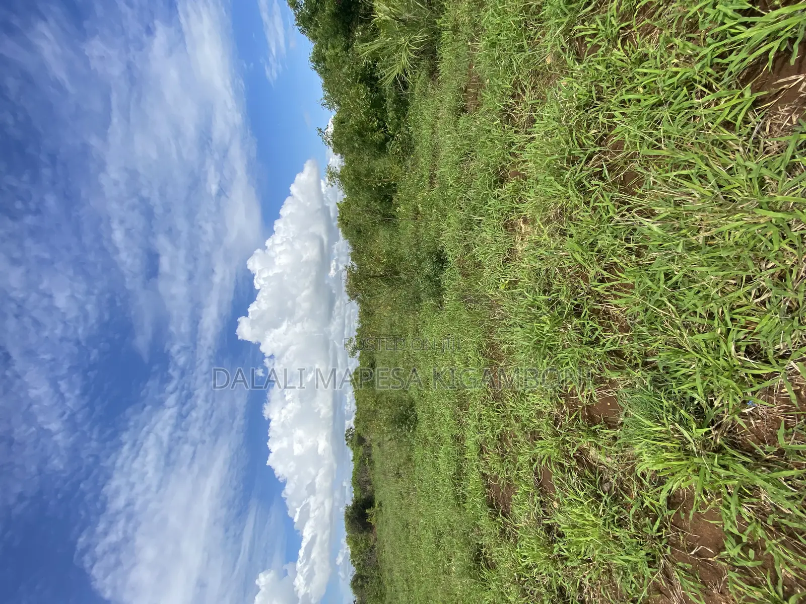 Beach Plot Number Three for Sale Mbutu Kigamboni