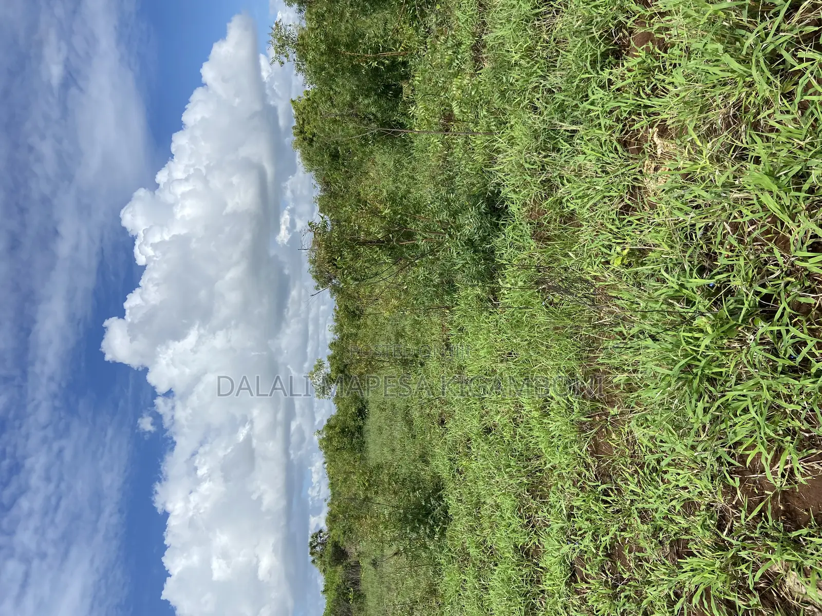 Beach Plot Number Three for Sale Mbutu Kigamboni