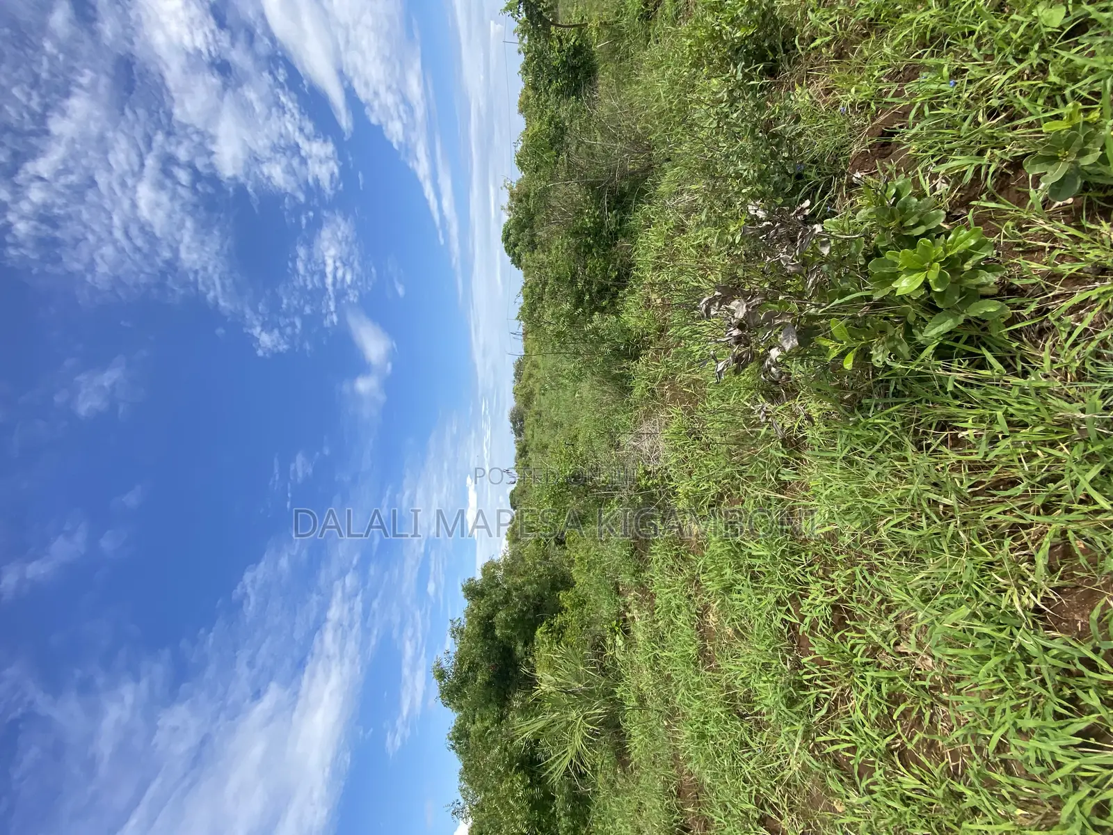 Beach Plot Number Three for Sale Mbutu Kigamboni