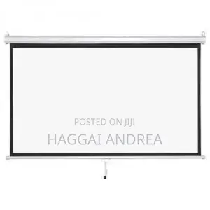 Ligtwave Electric Screen 300 X 300cm