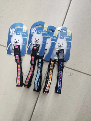 Vifaa Vya Mbwa/ Dog Accessories