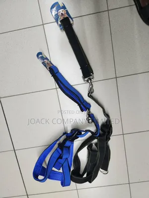 Vifaa Vya Mbwa/ Dog Accessories
