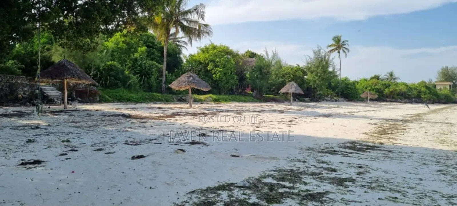 Prime Beach Plot for Sale at Jambiani Zanzibar