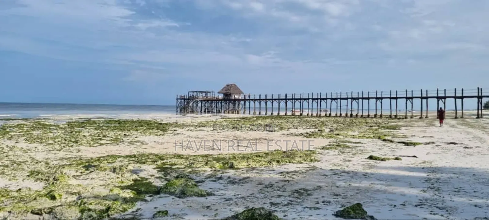 Prime Beach Plot for Sale at Jambiani Zanzibar