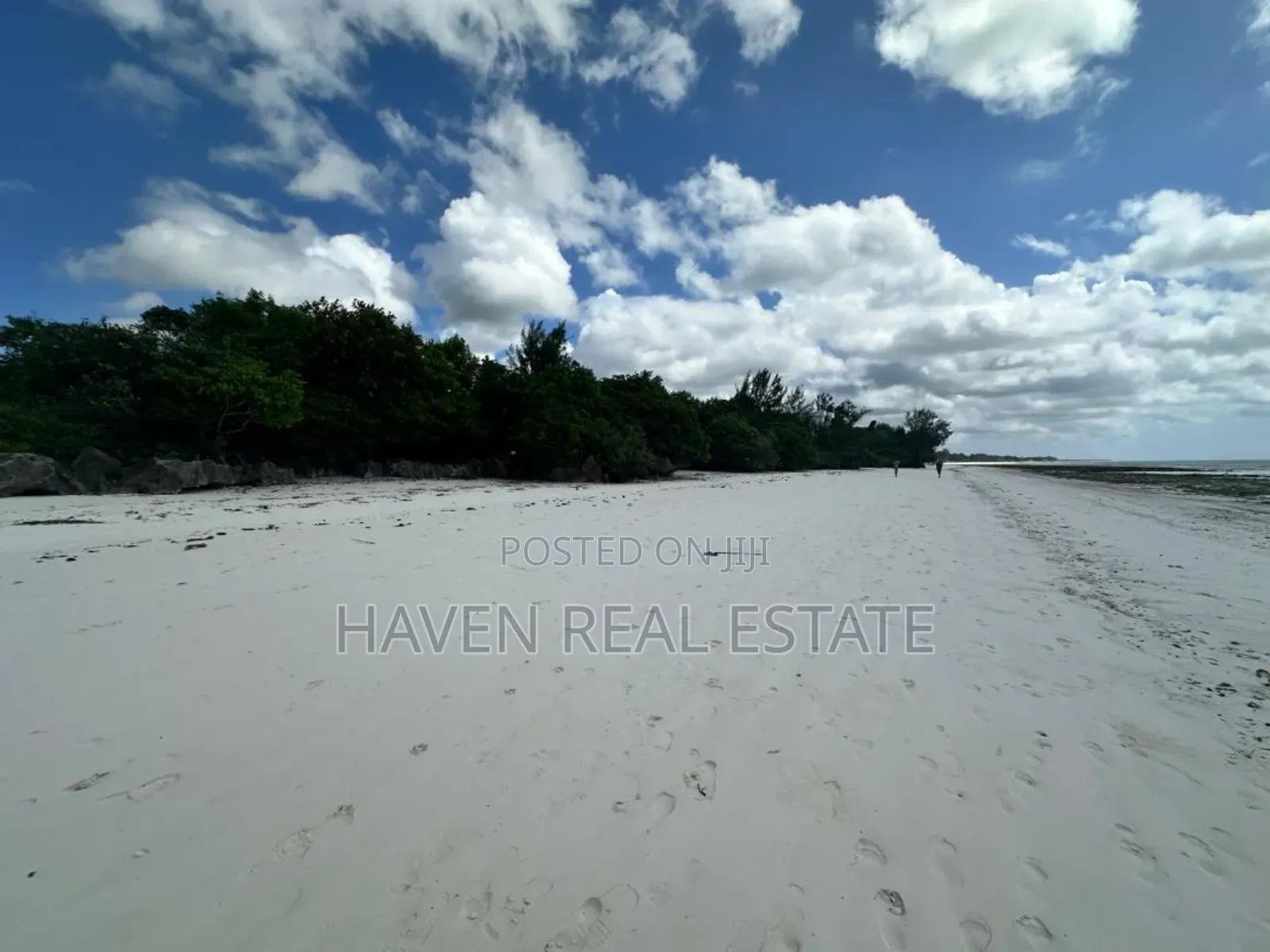 Prime Beach Plot for Sale at Jambiani Zanzibar