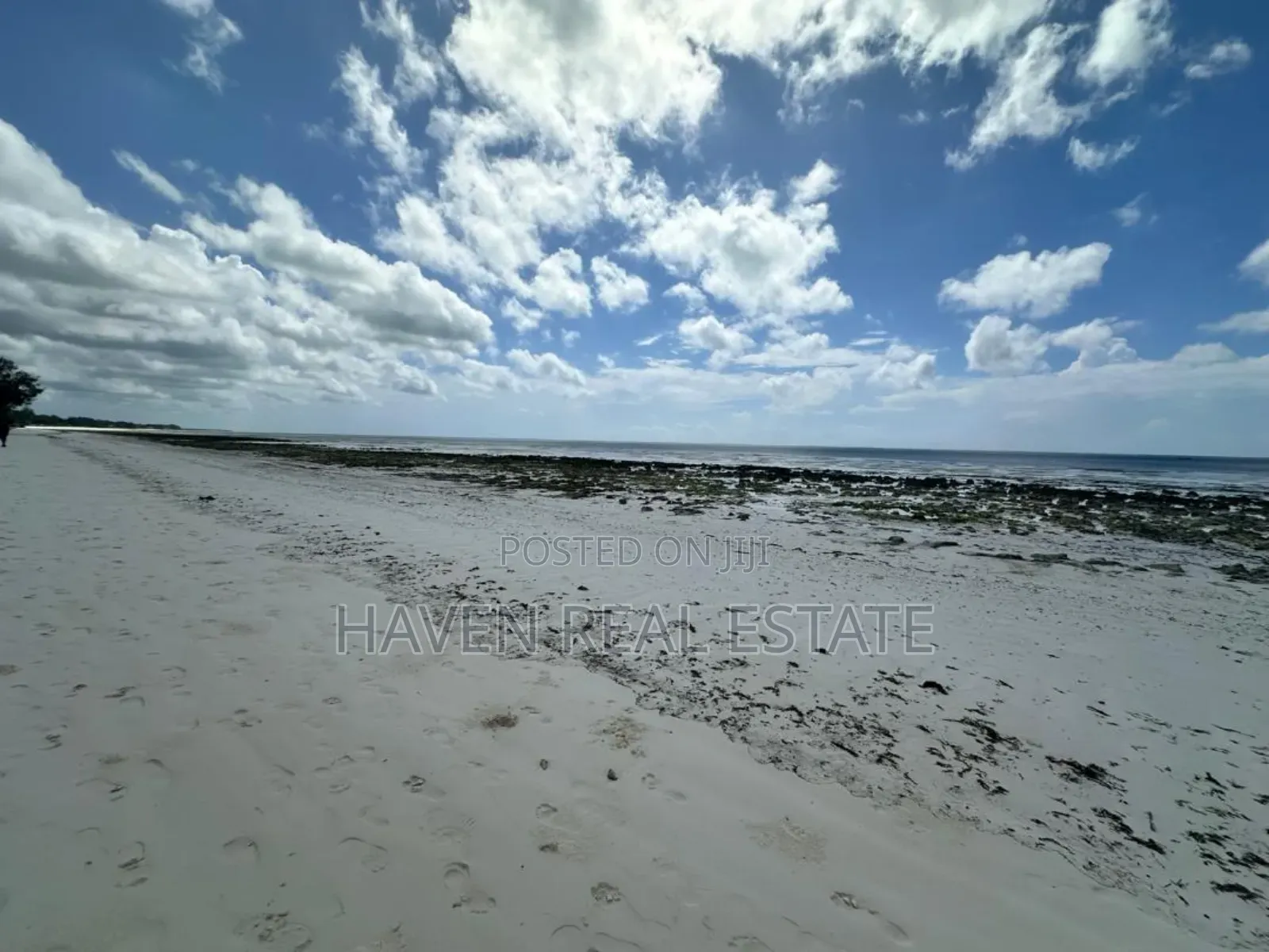Prime Beach Plot for Sale at Jambiani Zanzibar