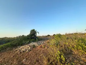 Beach Plot for Sale at Zanzibar