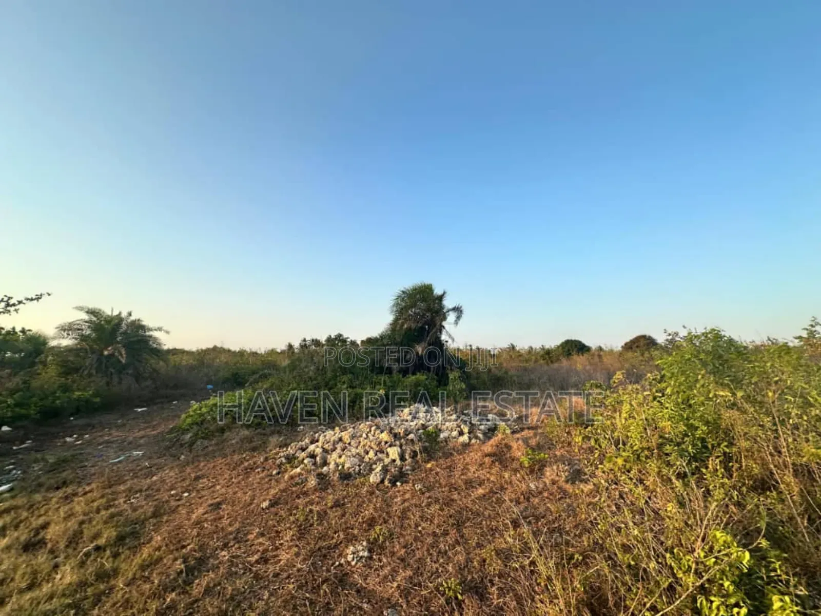 Beach Plot for Sale at Zanzibar
