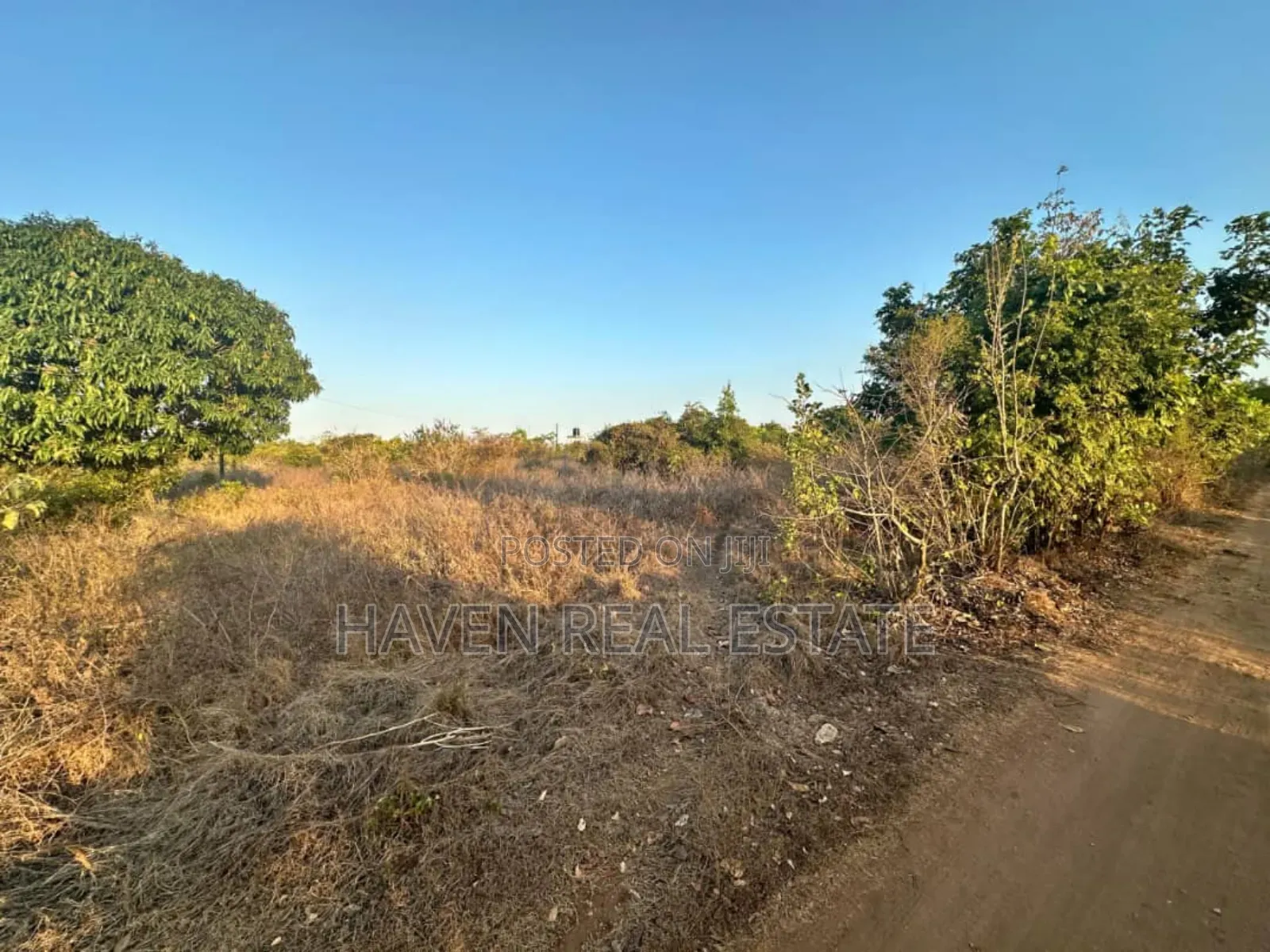Beach Plot for Sale at Zanzibar