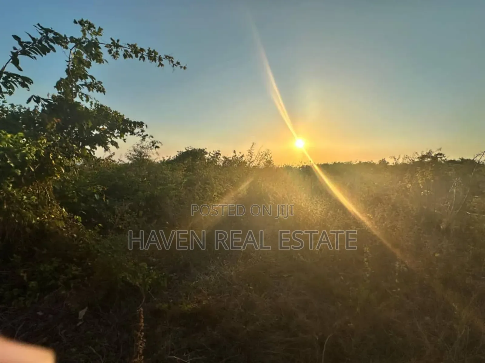 Beach Plot for Sale at Zanzibar