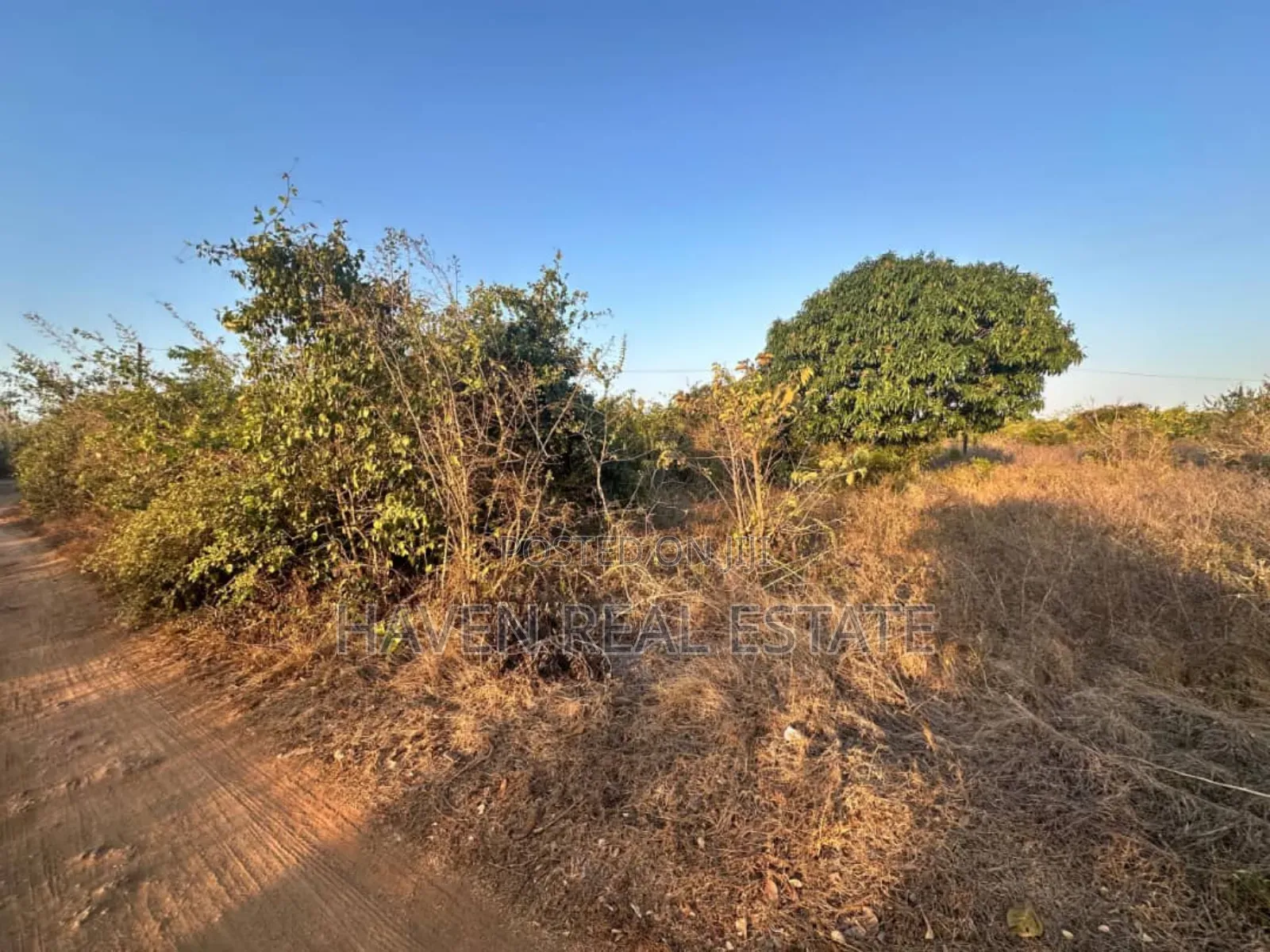 Beach Plot for Sale at Zanzibar