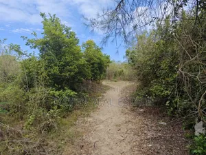 Beach Plot for Sale at Zanzibar