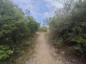 Beach Plot for Sale at Zanzibar