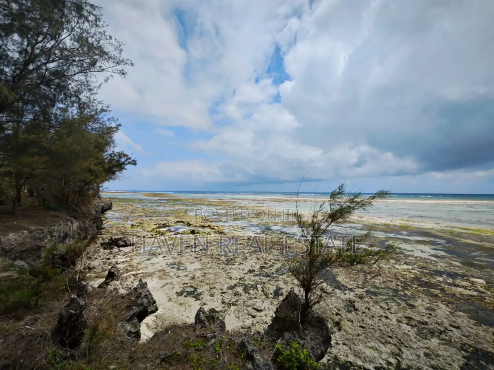 Beach Plot for Sale at Zanzibar